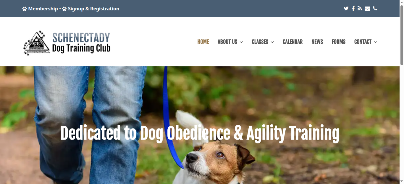 SDTC dogs site